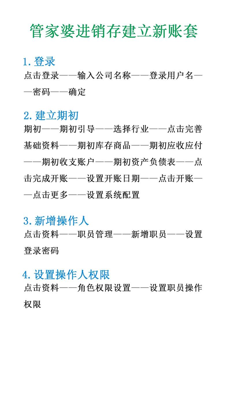 管家婆正版管家2025-2025全面解析实用技巧分享