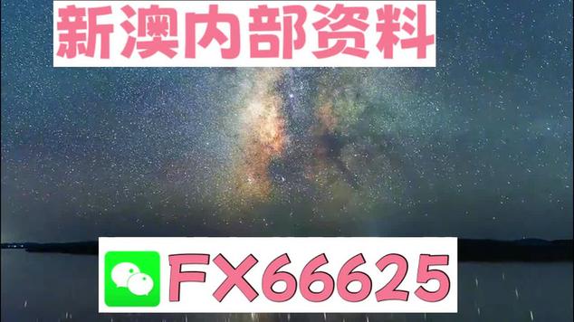新澳今天最新资料2025小雯,2025全面解析实用技巧分享