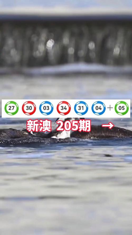 新澳开奖记录今天结果是什么查询,2025年最新实用信息汇总指南