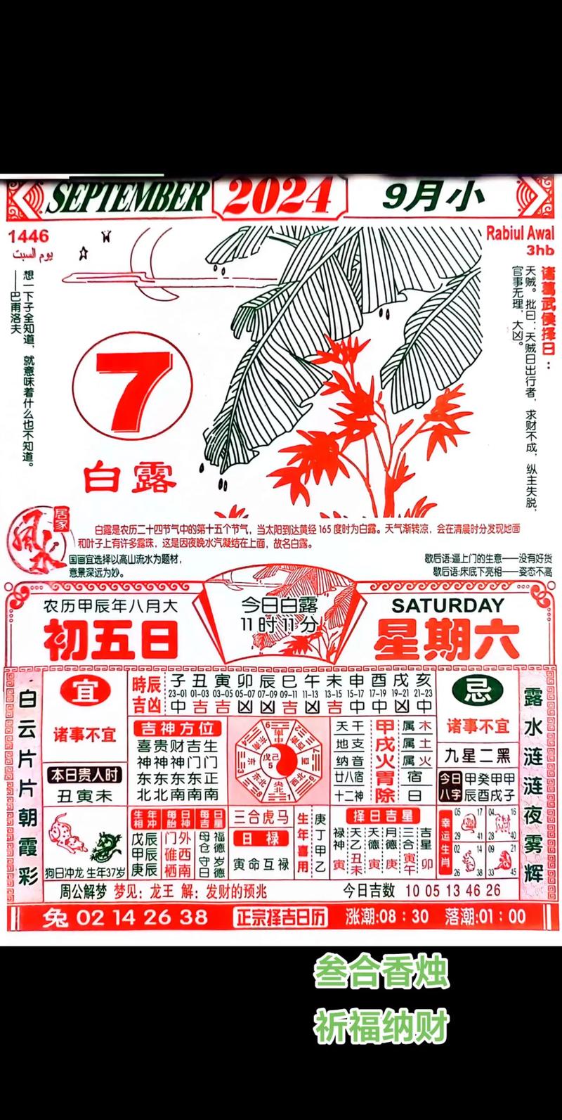 2024年澳门今晚开码料正板与香港资料大全正版资料图片下载全面释义、解释与落实与警惕虚假宣传