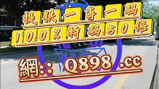 澳门最准一肖一码一码配套成龙A4,2025全面解析实用技巧分享