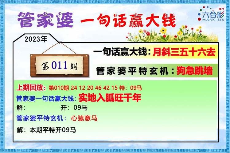 2023澳门资料大全免费怡情-2025全面解析实用技巧分享