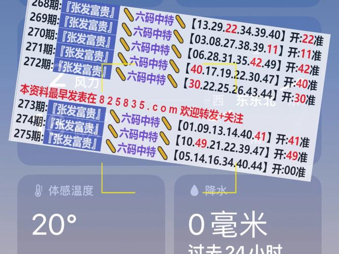 2024澳门特马今晚开奖记录2024年4月9号开什…与澳门新彩全面释义、解释与落实与警惕虚假宣传