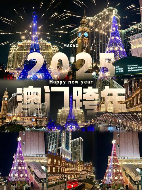2025新澳门历史开奖结果,2025全面解析实用技巧分享