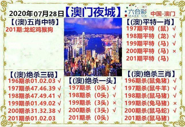 澳门正版资料免费大全精准,2024和澳彩资料免费资料大全的特点及技巧介绍全面释义、专家解释与落实与警惕虚假宣传