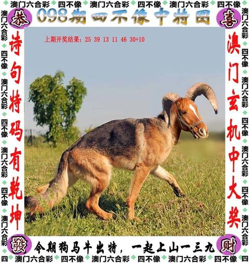 澳门49图库和2025全年資料免費大全全面释义、专家解释与落实与警惕虚假宣传